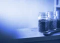 Three spice jars on a shelf beside a wooden spoon, for how an AI trainer can choose a domain