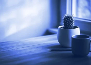 A quiet desk with a small cactus, a mug and a pencil, ready for a Mercor AI interview
