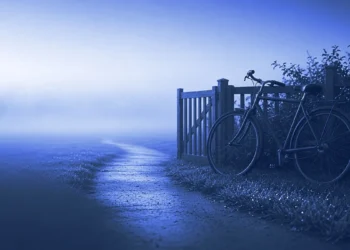 A bicycle leaning against a garden fence at dawn beside an empty path, for being accepted on Mercor with no job offer yet