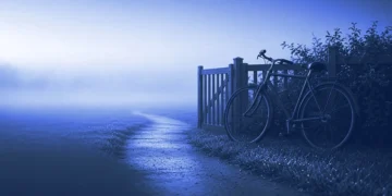 A bicycle leaning against a garden fence at dawn beside an empty path, for being accepted on Mercor with no job offer yet
